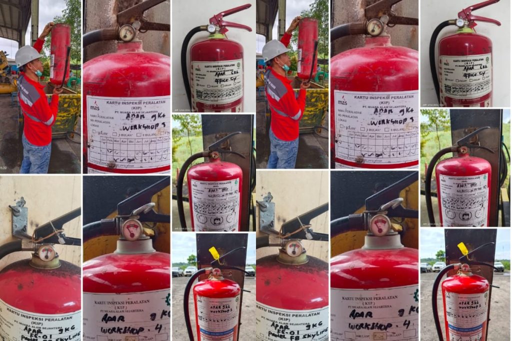 whatsapp image 2026 03 11 at 1.09.22 pm (1)